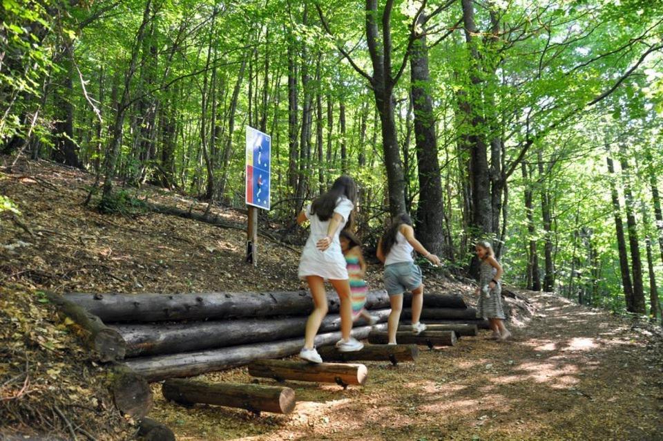 Hotel Snjezna Kuca - Nature Park Of Bosnia Herzegovina Padezina ภายนอก รูปภาพ