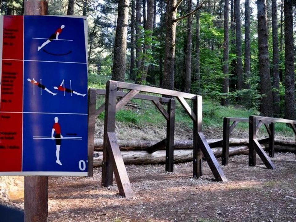Hotel Snjezna Kuca - Nature Park Of Bosnia Herzegovina Padezina ภายนอก รูปภาพ