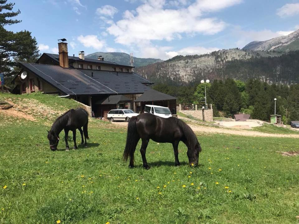 Hotel Snjezna Kuca - Nature Park Of Bosnia Herzegovina Padezina ภายนอก รูปภาพ