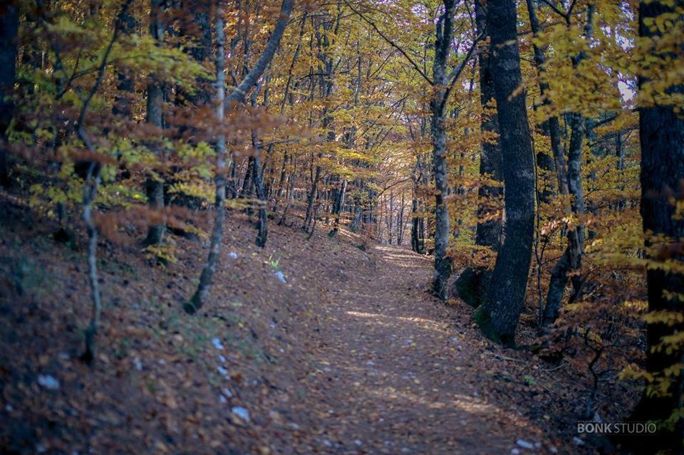 Hotel Snjezna Kuca - Nature Park Of Bosnia Herzegovina Padezina ภายนอก รูปภาพ