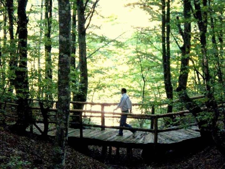 Hotel Snjezna Kuca - Nature Park Of Bosnia Herzegovina Padezina ภายนอก รูปภาพ